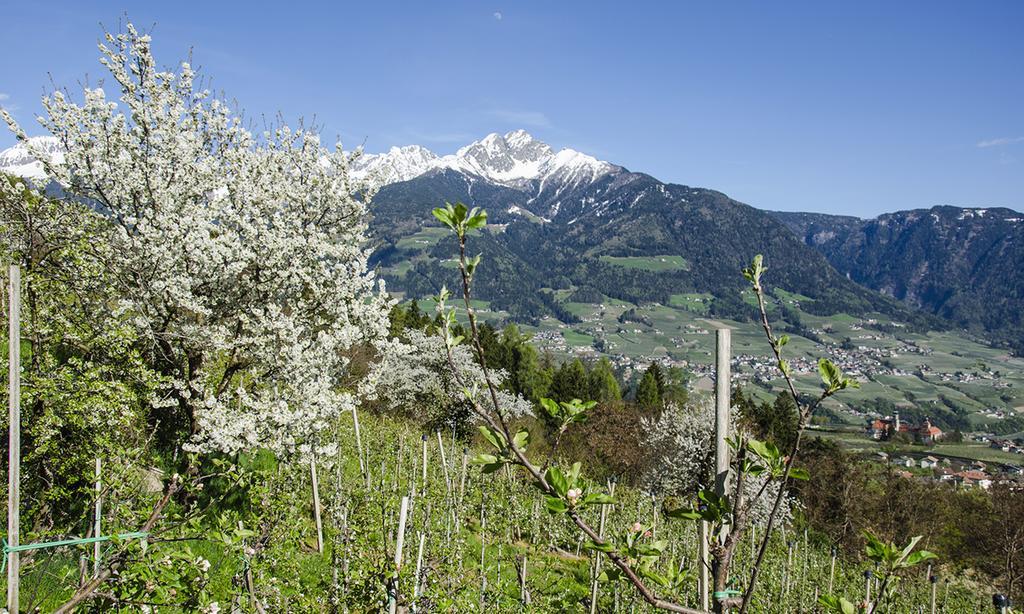 Residence Innerfarmerhof Tirolo Exterior photo